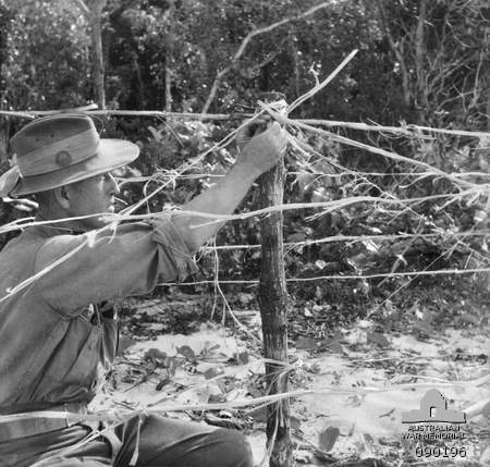 https://commons.wikimedia.org/wiki/File:Goodenough_Island_-_Imitation_barbed_wire.jpg