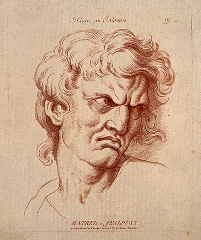 https://commons.wikimedia.org/wiki/File:A_face_expressing_hatred_or_jealousy._Etching_in_the_crayon_Wellcome_V0009343.jpg