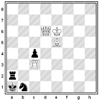 scheel chess problem