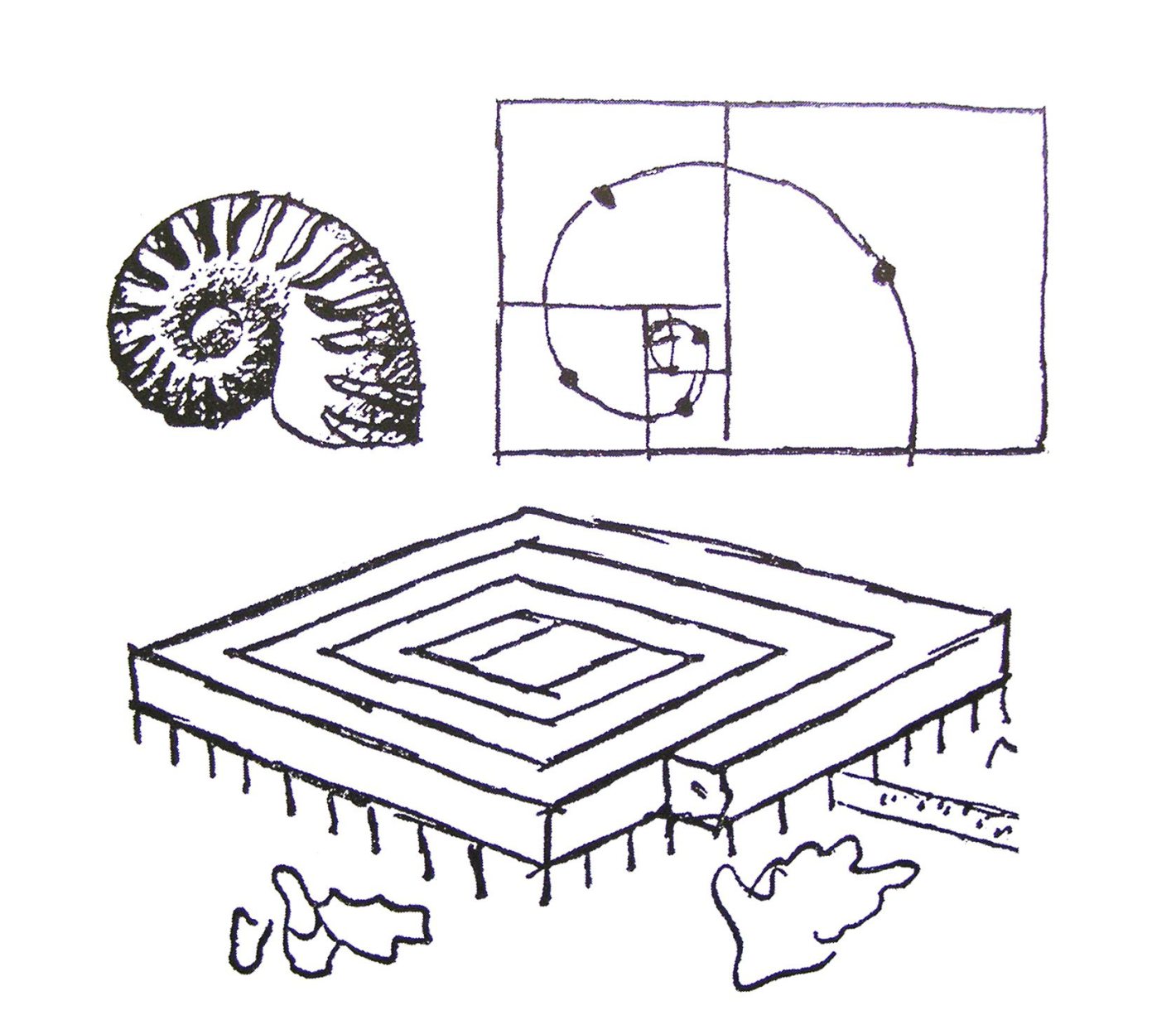 corbusier spiral