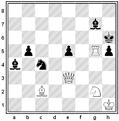 healey chess problem