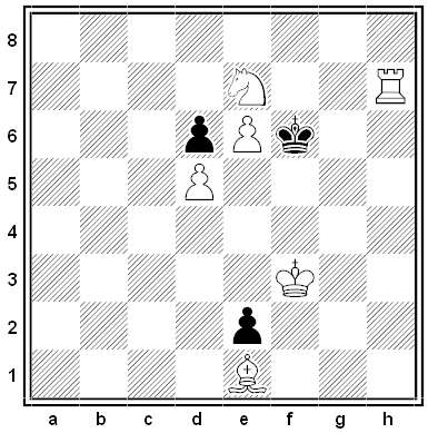 rottigni chess problem