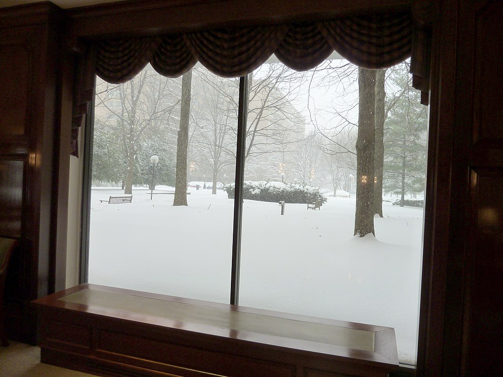 https://commons.wikimedia.org/wiki/File:Crystal_City_Snow_-_Lobby_Window_View_(4198304939).jpg