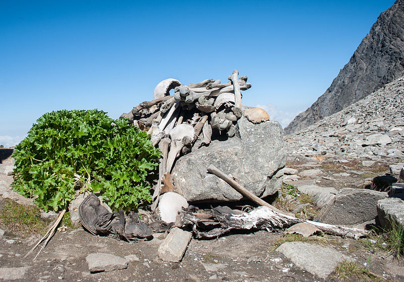 https://commons.wikimedia.org/wiki/File:Human_Skeletons_in_Roopkund_Lake.jpg