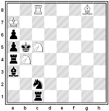 bekkelund chess problem