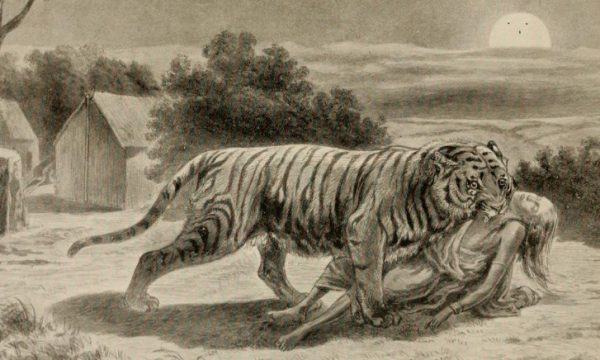Podcast Episode 279: The Champawat Tiger - Futility Closet