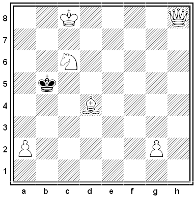 kossolapov chess problem
