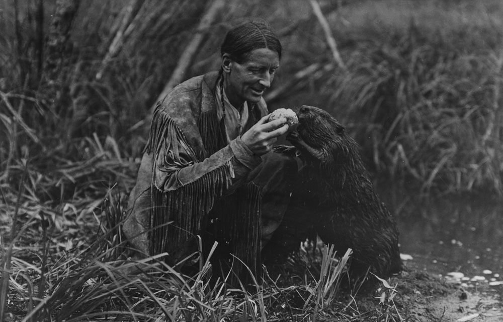 https://commons.wikimedia.org/wiki/File:Grey_owl_feeding_beaver_a_jelly_roll.jpg