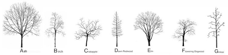 https://www.katieholten.com/public-realm/#/new-york-city-tree-alphabet/