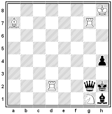 shinkman chess problem