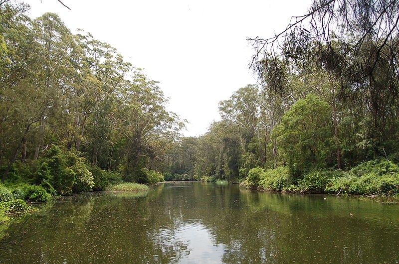 https://commons.wikimedia.org/wiki/File:Lane_Cove_River.jpg