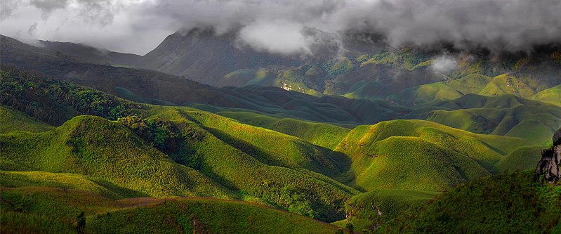 https://commons.wikimedia.org/wiki/File:Dzukou_Valley.jpg