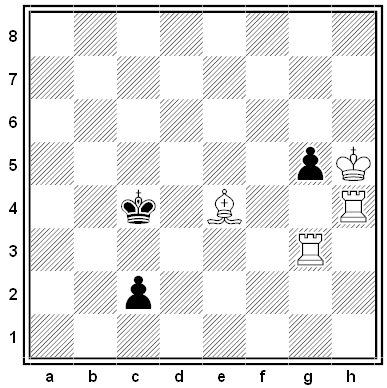 tchepizhni chess problem