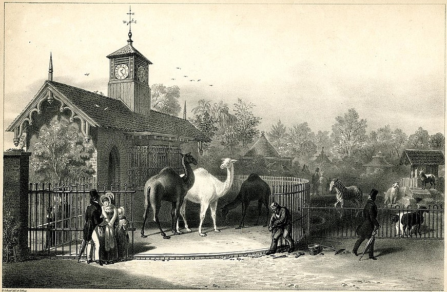 https://commons.wikimedia.org/wiki/File:Zoological_Gardens._Regent%27s_Park._(BM_1893,0803.88.1).jpg