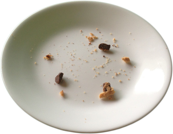 https://commons.wikimedia.org/wiki/File:Chocolate-chip-cookie-crumbs-on-plate.png