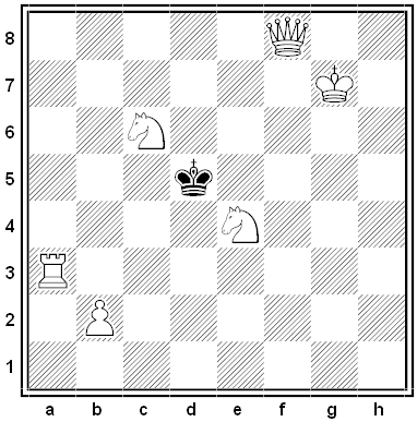 carney chess problem