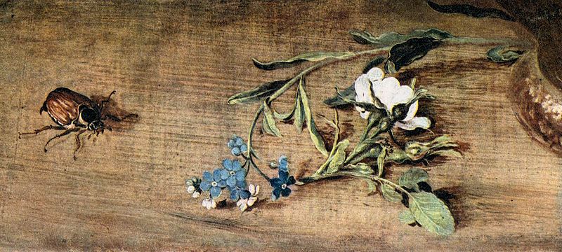 https://commons.wikimedia.org/wiki/File:Jan_Brueghel_(I)_-_Bouquet_of_Flowers_(detail)_-_WGA3602.jpg