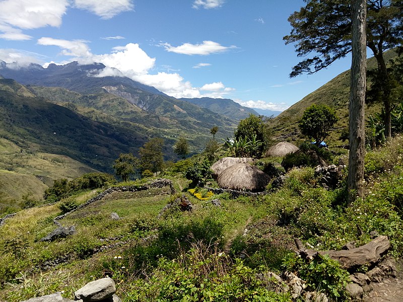 https://commons.wikimedia.org/wiki/File:20170903_Papouasie_Baliem_valley_14.jpg