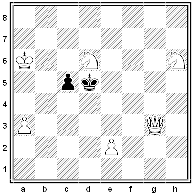 taylor chess problem