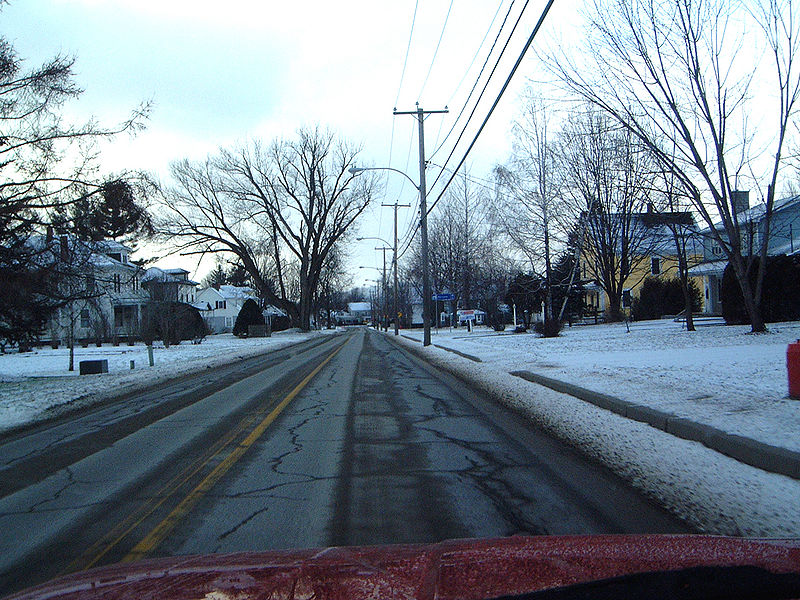 https://commons.wikimedia.org/wiki/File:Rue_canusa.jpg