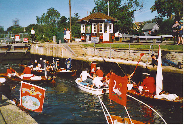 https://commons.wikimedia.org/wiki/File:Swan_Uppers_in_Sunbury_Lock._-_geograph.org.uk_-_122604.jpg