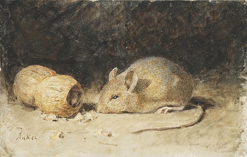 https://commons.wikimedia.org/wiki/File:Albert_Anker_-_Eine_Maus_mit_einer_Erdnuss.jpg