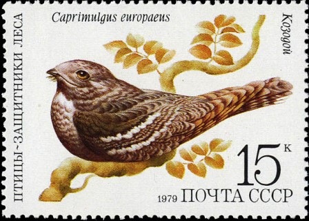https://commons.wikimedia.org/wiki/File:%D0%9F%D0%BE%D1%87%D1%82%D0%BE%D0%B2%D0%B0%D1%8F_%D0%BC%D0%B0%D1%80%D0%BA%D0%B0_%D0%A1%D0%A1%D0%A1%D0%A0_%E2%84%96_5005._1979._%D0%9F%D1%82%D0%B8%D1%86%D1%8B_-_%D0%B7%D0%B0%D1%89%D0%B8%D1%82%D0%BD%D0%B8%D0%BA%D0%B8_%D0%BB%D0%B5%D1%81%D0%B0.jpg