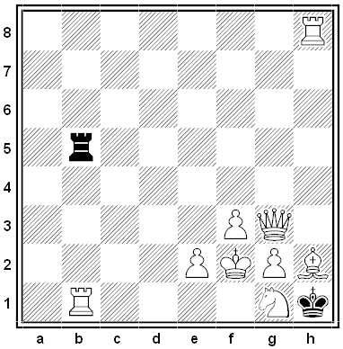 macleod chess problem