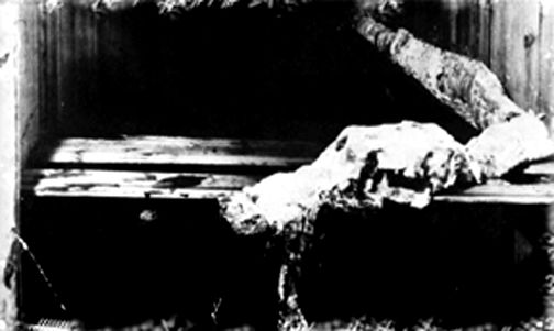 http://commons.wikimedia.org/wiki/File:Effingham_carcass.JPG
