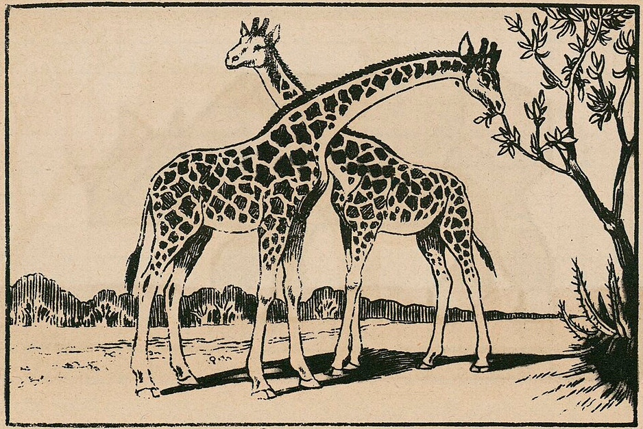 https://commons.wikimedia.org/wiki/File:Animaux_sauvages_-_ll._de_Jean_Matet_-_btv1b10573583s_(11_of_12).jpg