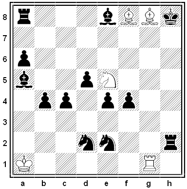 hall chess puzzle