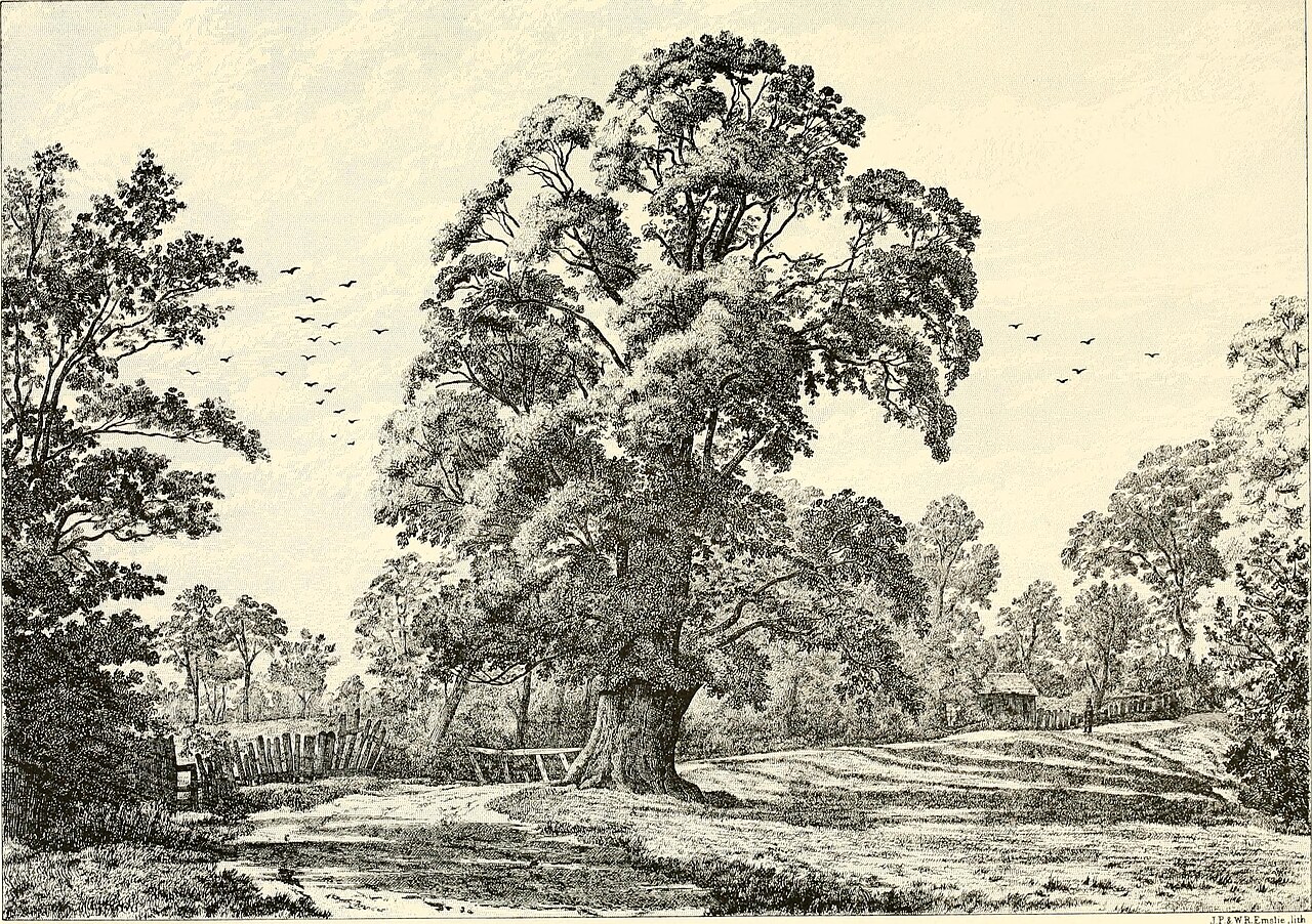 https://commons.wikimedia.org/wiki/File:Monken_Hadley_(1880)_(14586996208).jpg