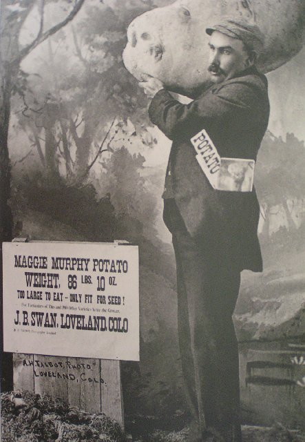 https://commons.wikimedia.org/wiki/File:MaggieMurphyhoax.jpg