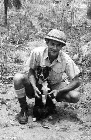 https://commons.wikimedia.org/wiki/File:Gunner_(dog).jpg