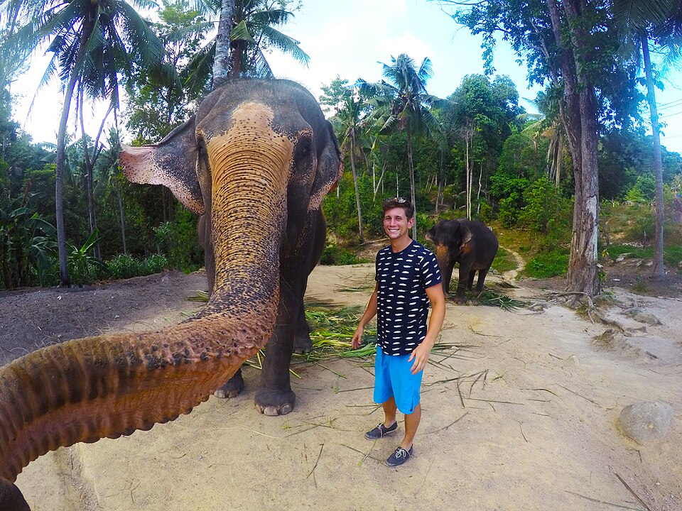 https://commons.wikimedia.org/wiki/File:Elephantselfie_with_Christian_LeBlanc.jpg