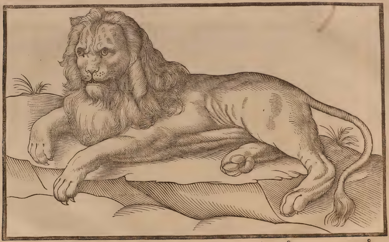 https://archive.org/details/the-historie-of-foure-footed-beastes-1607/page/454/mode/2up